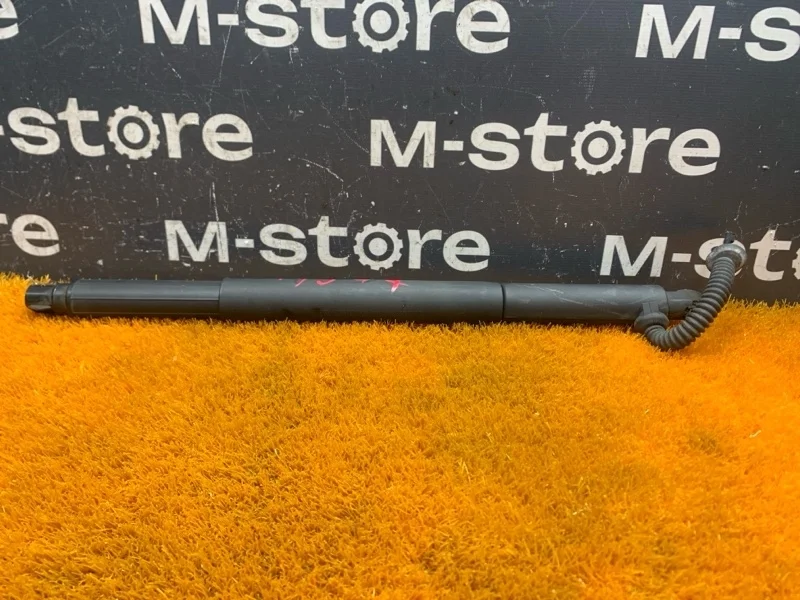 Амортизатор багажника Bmw X6 2008 7188489 E71 N54B30A, левый