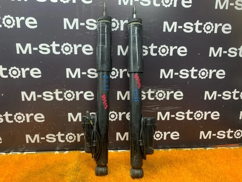 Амортизатор Mercedes-Benz Cls-Class 2005 A2193260400 W219 113.967, задний