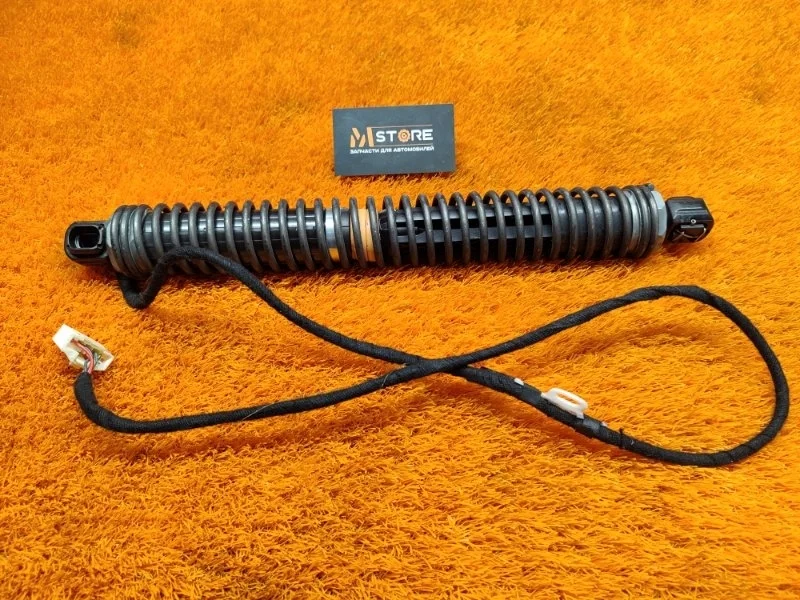 Амортизатор багажника Bmw 7-Series 2009 7185714 F01 N63B44A, правый