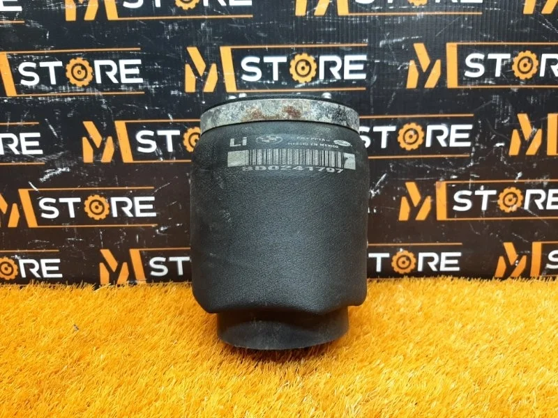 Пневмоподушка Bmw X5 2005 37121095579 E53 M54B30 (306S3), задняя левая