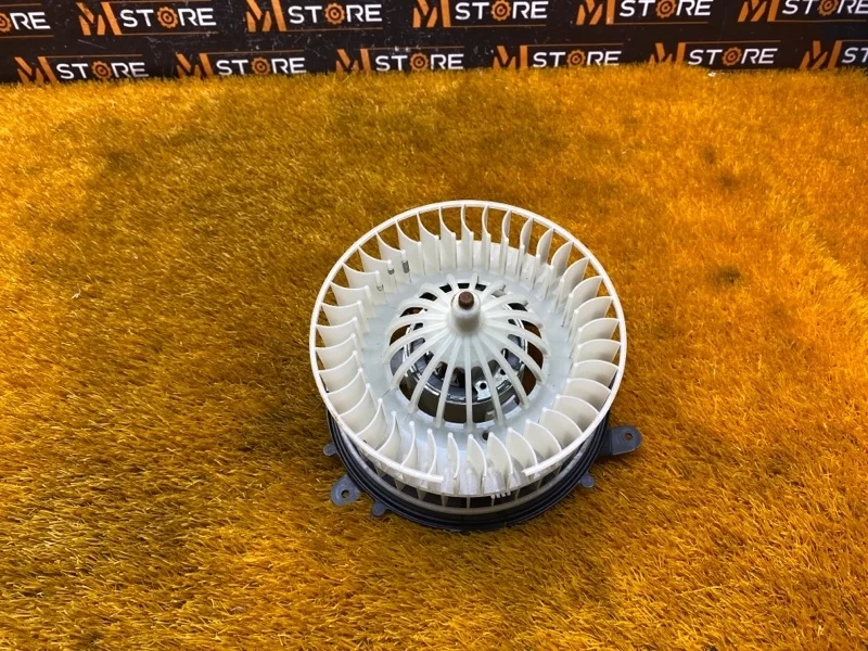 Мотор печки Mercedes-Benz S-Class 2003 A2209060100 W220 112.972