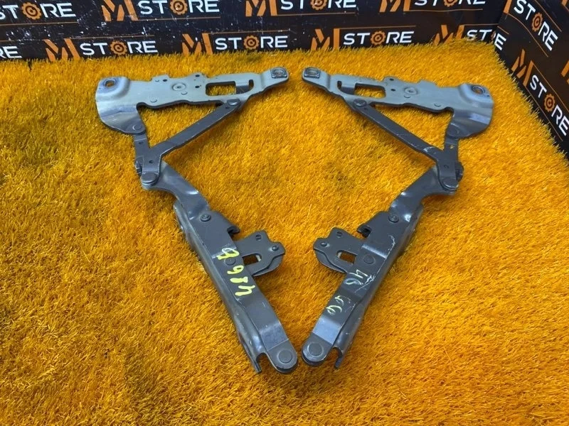 Петля капота Bmw 7-Series 2013 7250806 F01 N55B30A