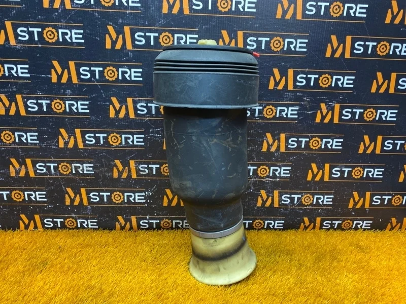 Пневмоподушка Bmw X6 2010 37126790081 E71 N55B30A, задняя левая