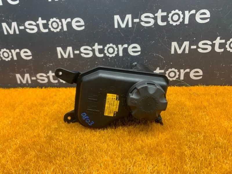 Бачок расширительный Bmw 3-Series 2006 17137543026 E90 N52B25A