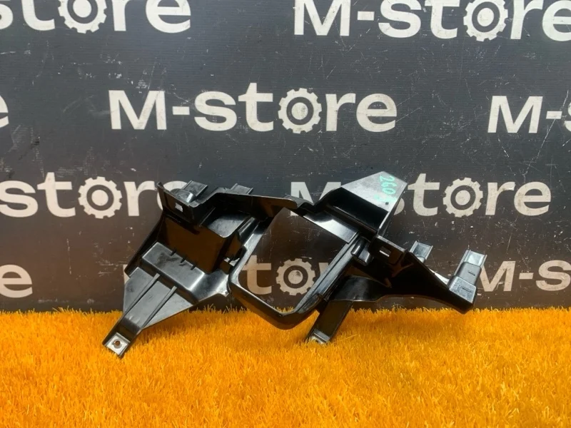 Кронштейн фары Bmw 7-Series 2008 63117162090 E65 N62B40A, правый