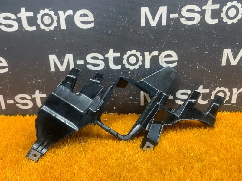 Кронштейн фары Bmw 7-Series 2008 63117162089 E65 N62B40A, левый