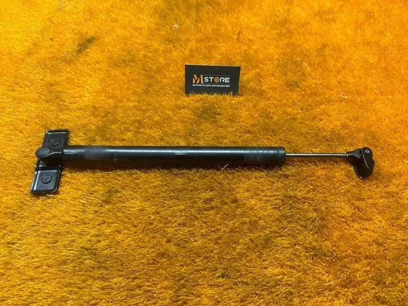 Ограничитель двери Bmw 7-Series 2009 51227177648 F01 N63B44A, задний правый