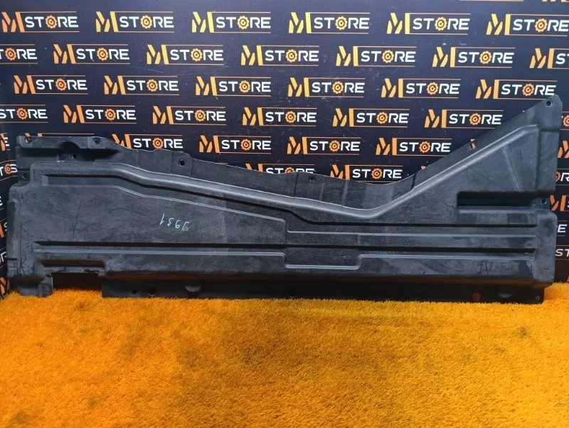 Защита днища кузова BMW X5 2013 51757178548 E70 N63B44A