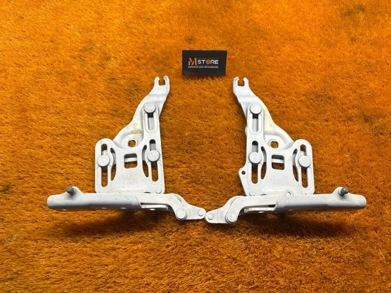 Петля капота Bmw X5 2007 7148348 E70 N52B30A