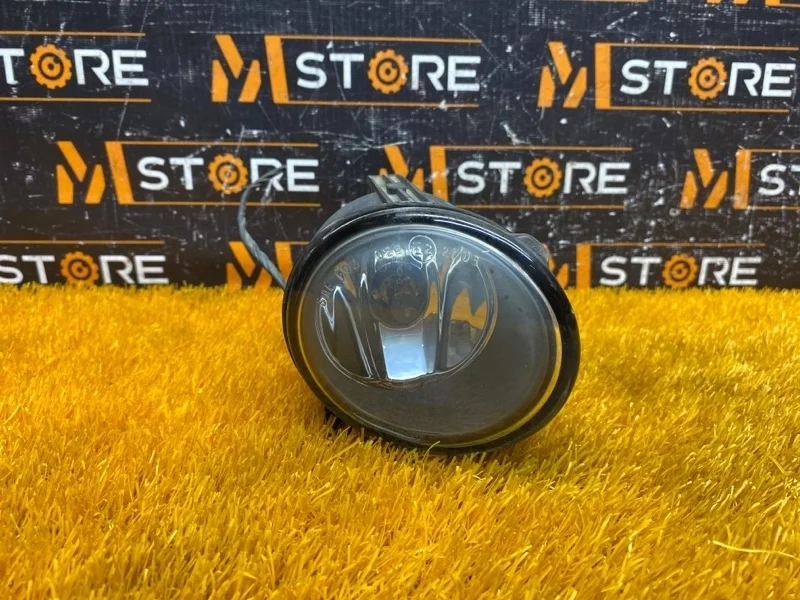 Фара противотуманная BMW X5 2004 63176920886 E53 M54B30 (306S3), правая