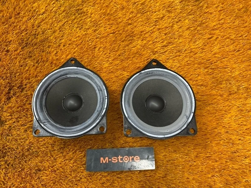 Динамик Bmw 7-Series 2008 65139143153 E65 N62B40A, передний