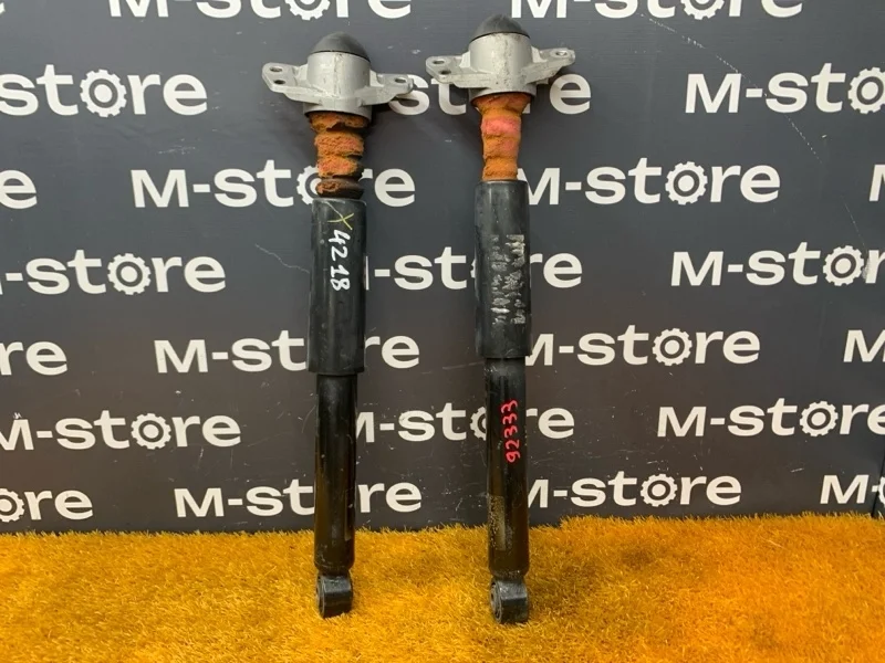 Амортизатор Volkswagen Tiguan 2008 5N0512011L 5N CAW, задний