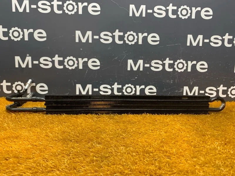 Радиатор ГУР Bmw 3-Series 2006 17117522119 E90 N52B25A