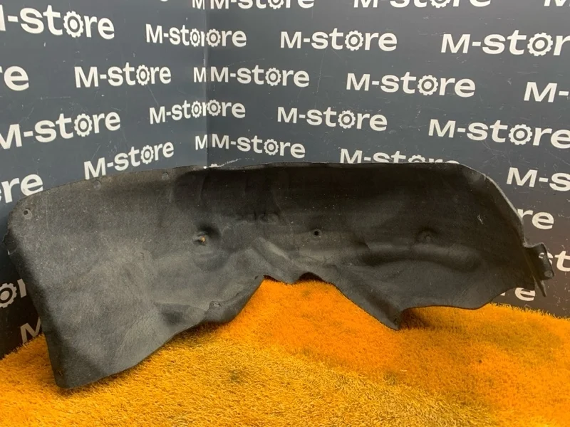 Подкрылок BMW 3-Series 2005 51717059382 E90 N46B20B, задний правый