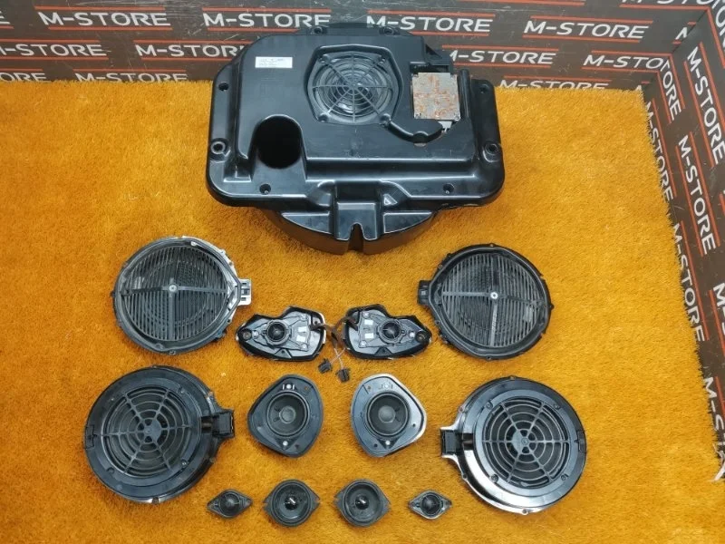 Динамик (комплект) Porsche Cayenne 2004 7L5035403 955 4800