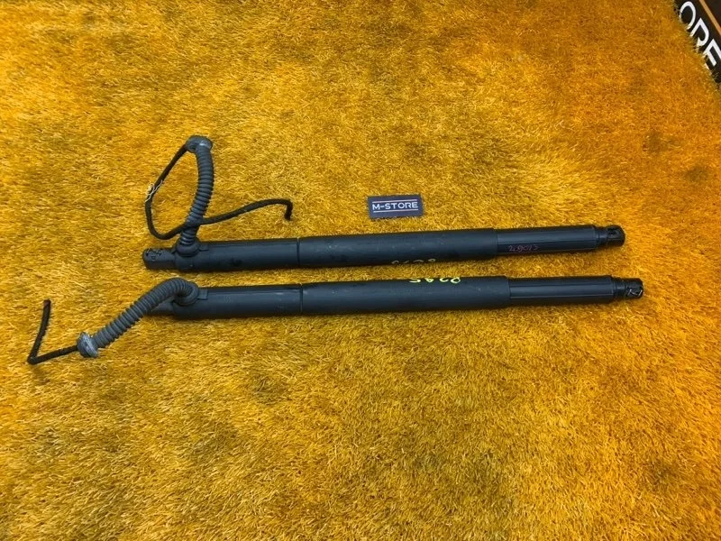 Амортизатор багажника Bmw X6 2008 7188489 E71 N54B30A