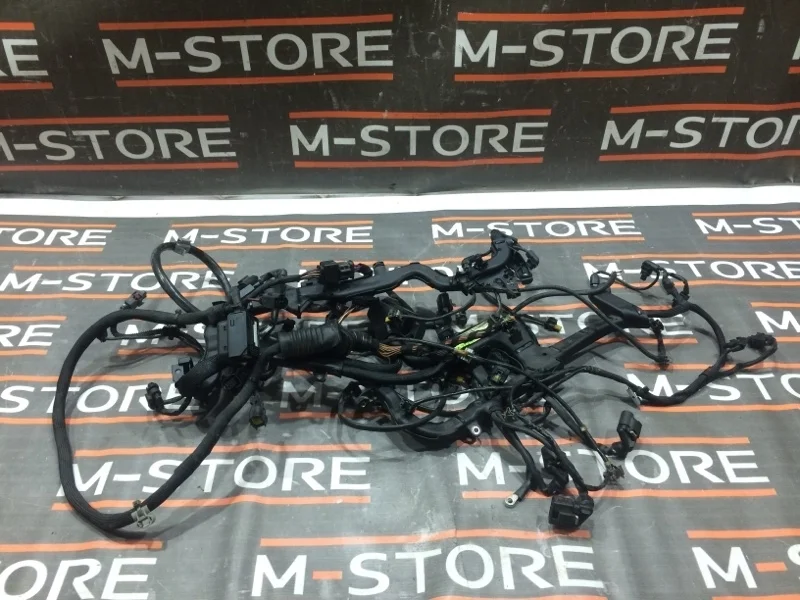 Коса двс Mercedes-Benz S-Class 2006 A2730100002 W221 273.961