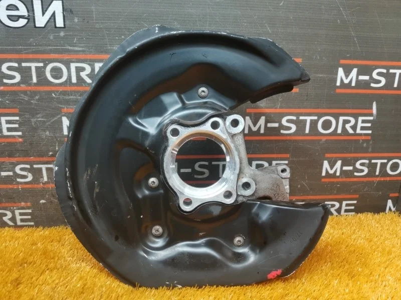 Кулак поворотный Volkswagen Passat Cc 2008 3C0505436G B6/358 BWS, задний правый