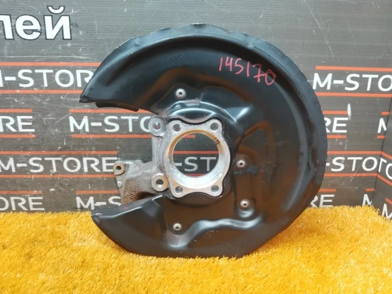 Кулак поворотный Volkswagen Passat Cc 2008 3C0505435G B6/358 BWS, задний левый