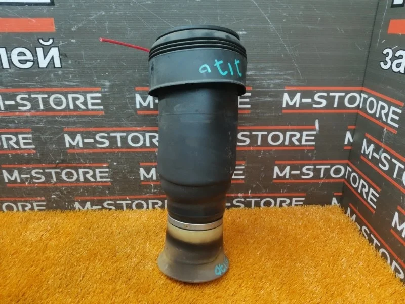 Пневмоподушка Bmw X5 2008 37126774041 E70 N52B30, задняя левая