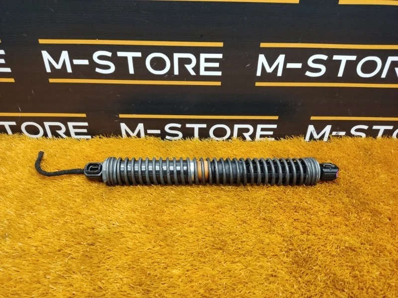 Амортизатор багажника Bmw 7-Series 2009 7185713 F01 N54B30A, левый