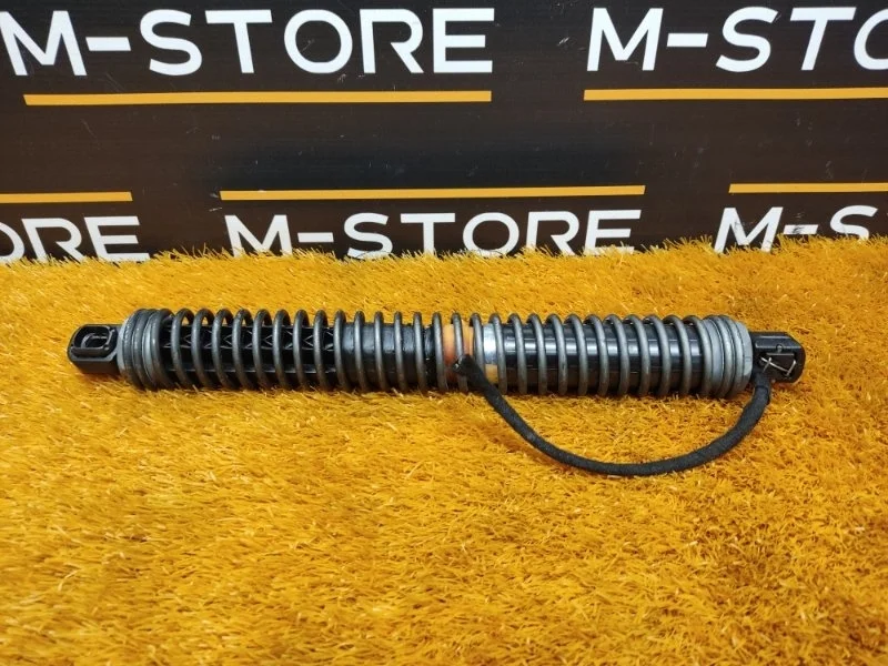 Амортизатор багажника Bmw 7-Series 2009 7185714 F01 N54B30A, правый