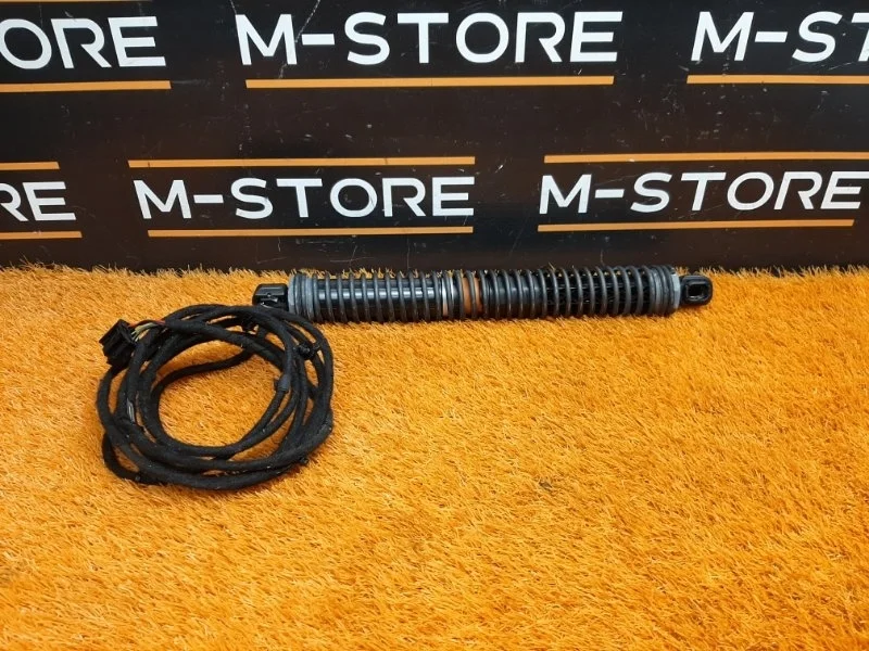 Амортизатор багажника Bmw 7-Series 2010 7185713 F01 N54B30A, левый