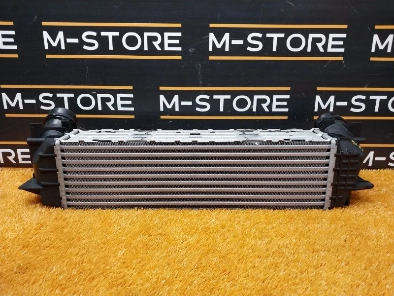 Интеркулер Bmw 5-Series 2012 17117618769 F10 N20B20B