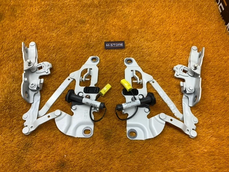 Петля капота Bmw 7-Series 2011 7250805 F01 N63B44A