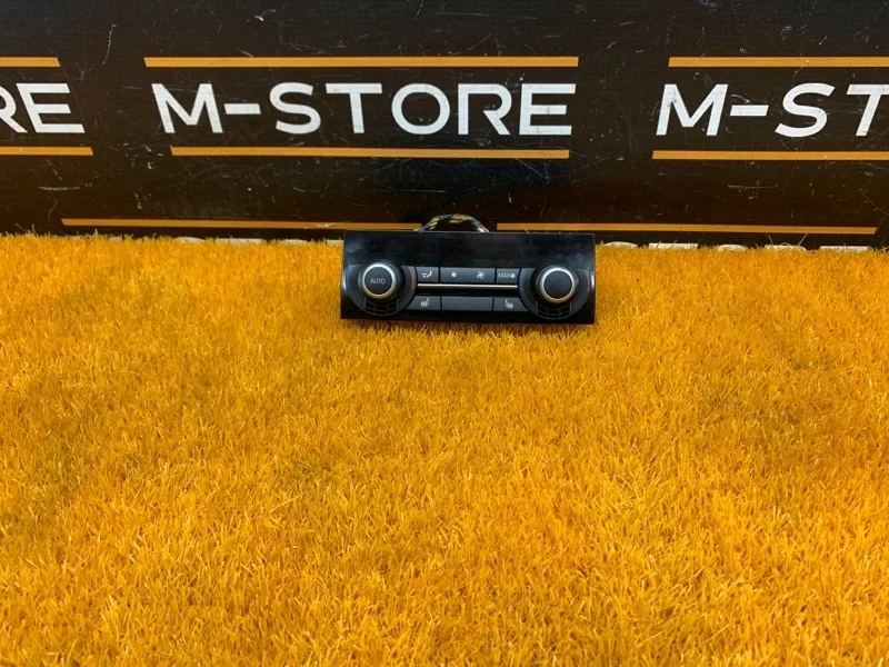 Блок управления климат-контролем Bmw 7-Series 2009 9212476 F01 N63B44A, задний