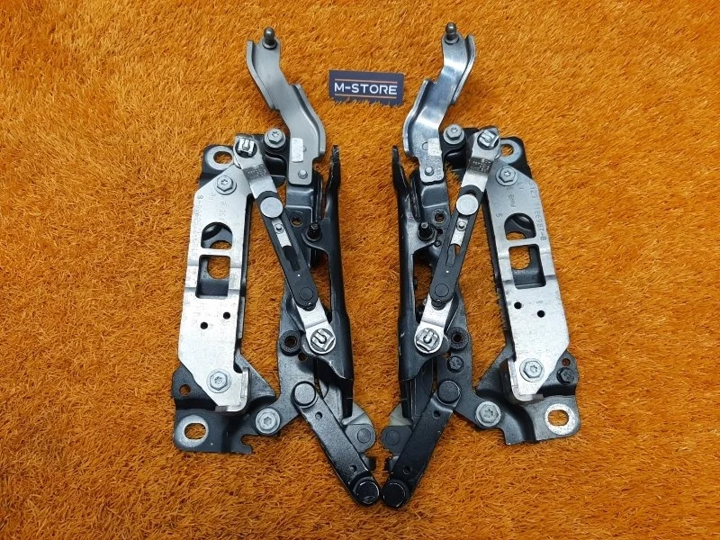 Петля капота Bmw 7-Series 2009 41007204555 F01 N63B44A