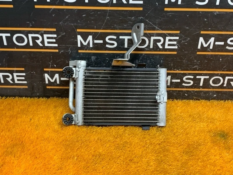 Радиатор масляный Bmw X3 17213448627 E83