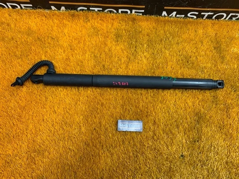 Амортизатор багажника Bmw X6 2011 7294590 E72/E71 N63B44A, правый