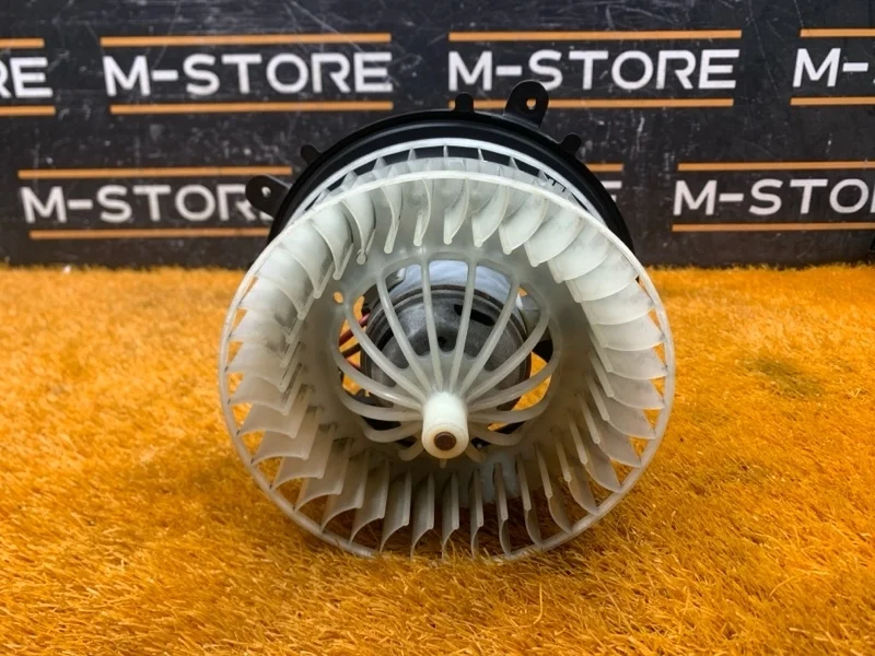 Мотор печки Mercedes-Benz S-Class 2005 A2209060000 W220 112.972