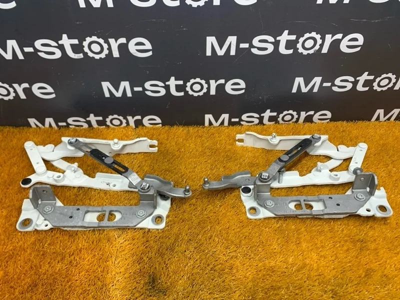 Петля капота Bmw 7-Series 2009 41007204555 F01 N63B44A