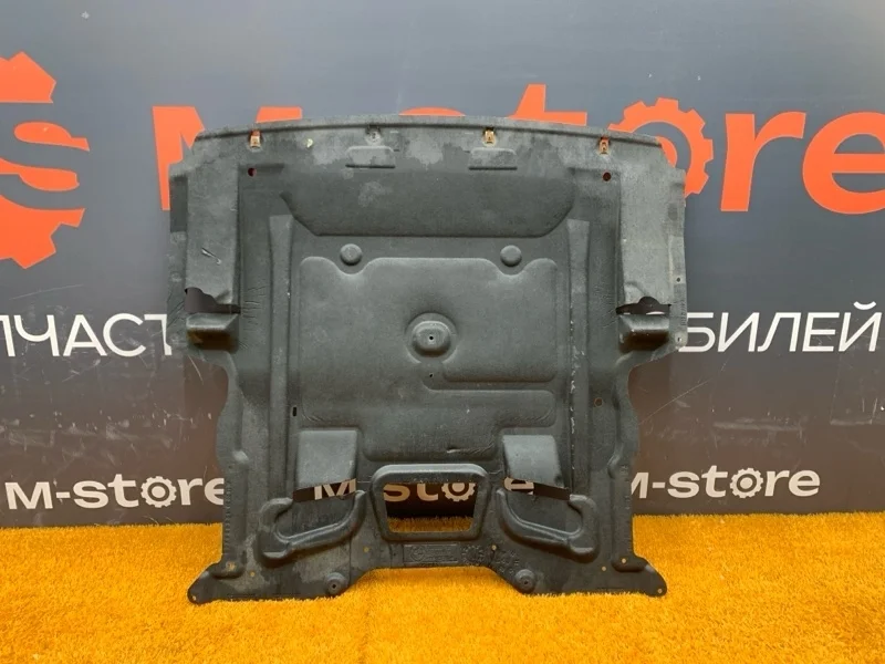 Защита днища кузова Bmw 7-Series 2009 51757185113 F01 N63B44A