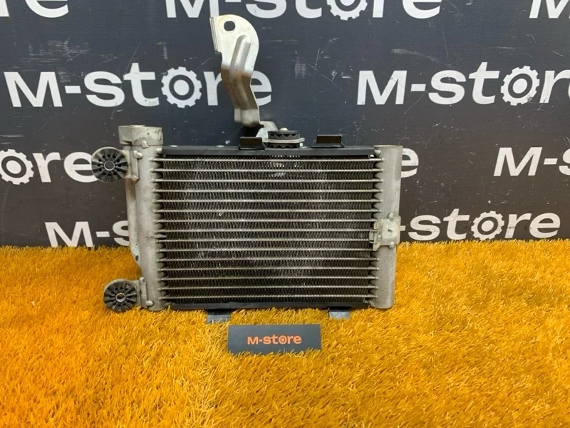 Радиатор масляный Bmw X3 2007 17213448627 E83 N52B25A