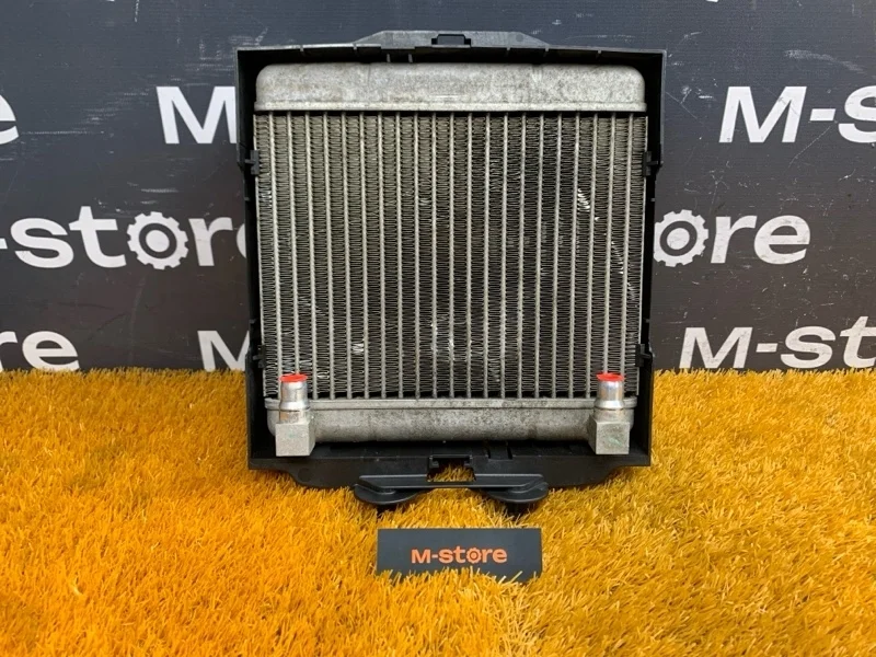 Радиатор масляный Bmw 7-Series 2009 17217572542 F01 N63B44A