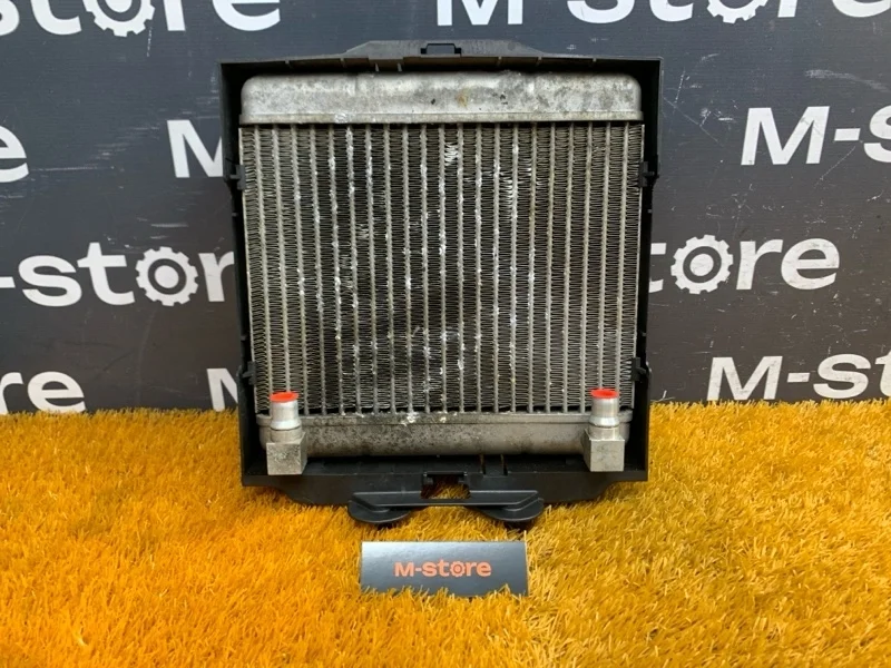 Радиатор масляный Bmw 7-Series 2009 17217572542 F01 N63B44A
