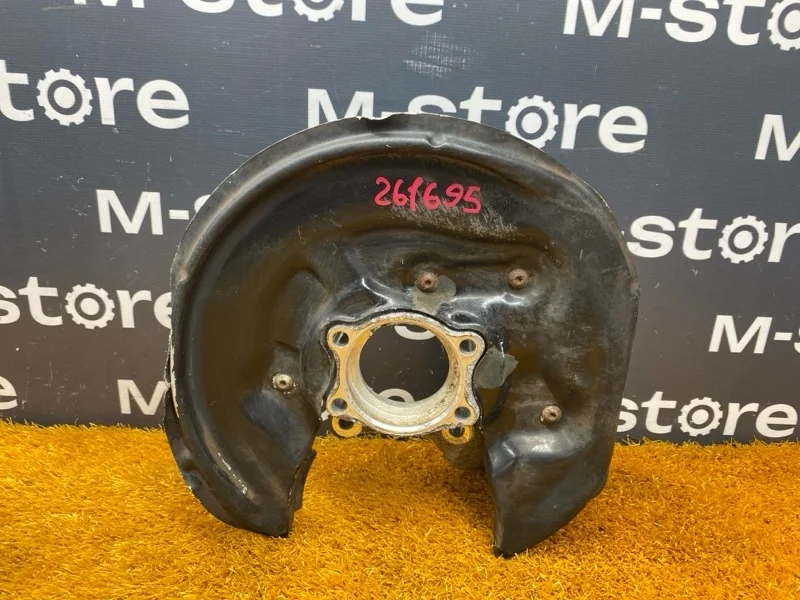 Кулак поворотный Volkswagen Passat Cc 2008 3C0505435G B6/358 BWS, задний левый