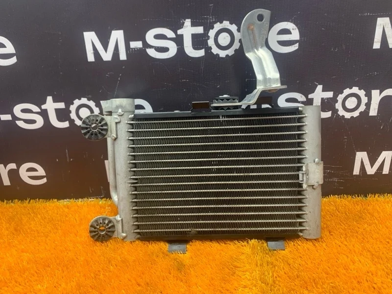 Радиатор масляный Bmw X3 2006 17213448627 E83 N52B25A