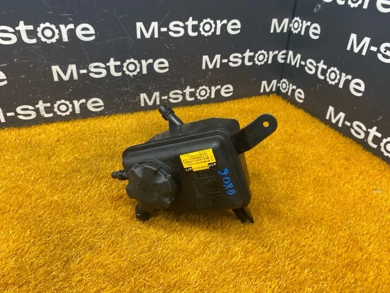 Бачок расширительный Bmw 5-Series 2006 17137521189 E60 N52B30A