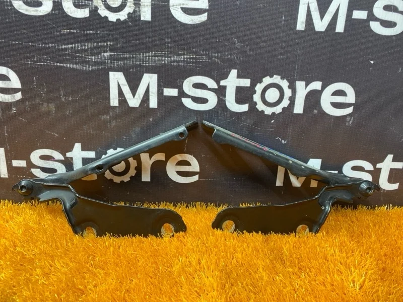 Петля капота Audi A3 2014 8V0823302 8V CXS