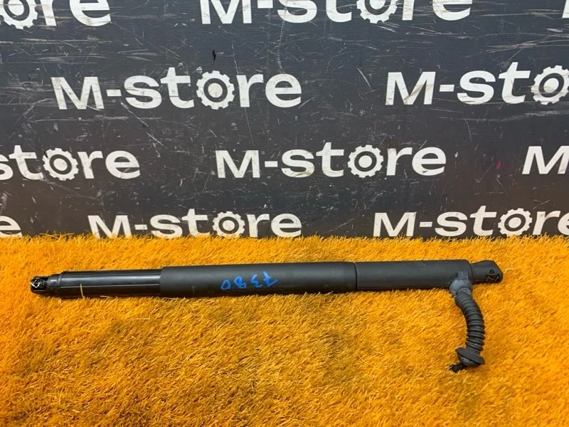 Амортизатор багажника Bmw X6 2013 7332697 E71 N55B30A, левый