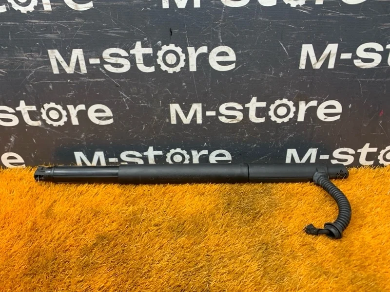 Амортизатор багажника Bmw X6 2013 7332698 E71 N55B30A, правый