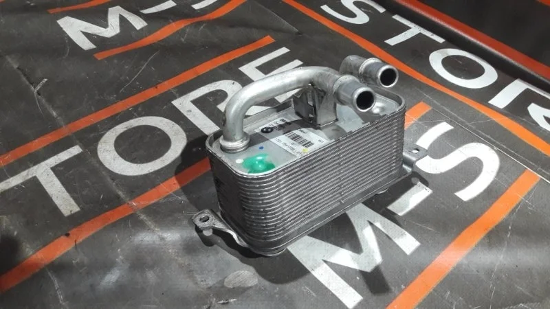 Теплообменник Bmw 7-Series 2005 17217541059 E65 N62B48B