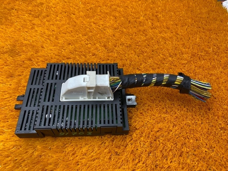 Блок управления светом Bmw 5-Series 2003 6941591 E60 M54B25 (256S5)