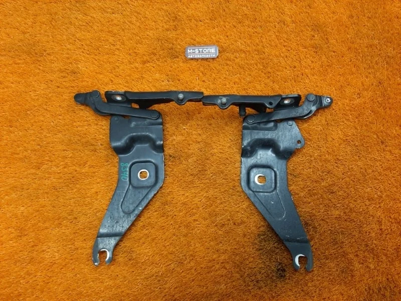 Петля капота Bmw X5 2009 7208628 E70 N52B30A