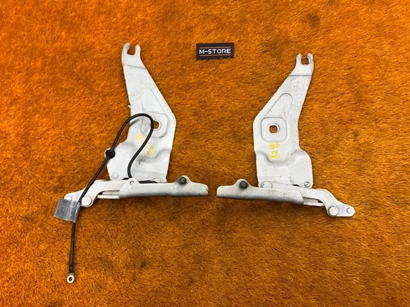 Петля капота Bmw X5 2009 7208627 E70 N52B30A