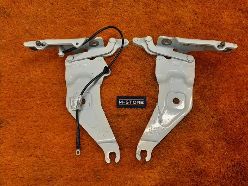 Петля капота Bmw X5 2011 7208628 E70 N55B30A